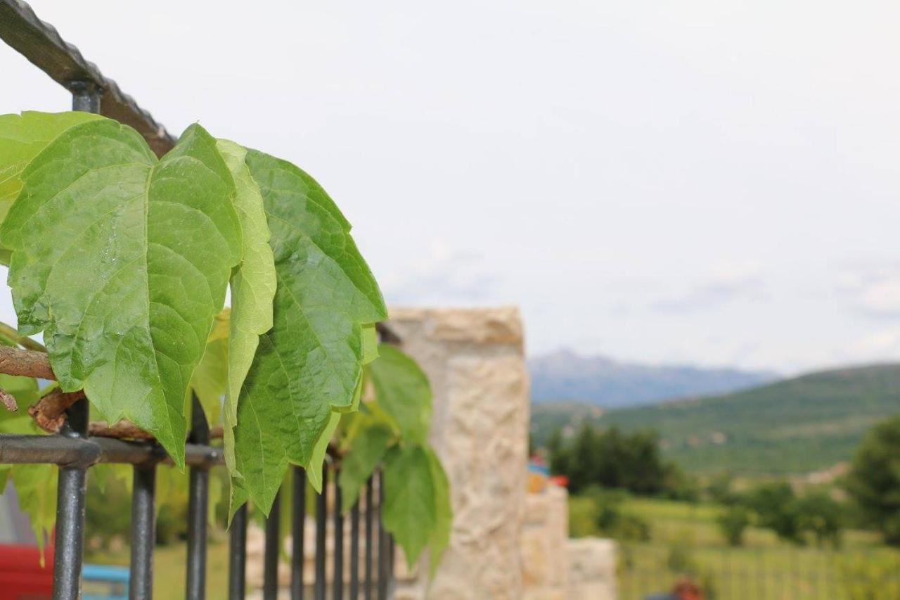Stone House Skrivena Villa Pridraga Eksteriør billede
